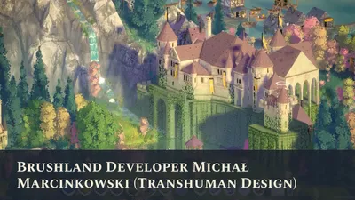 Brushland Developer Michał Marcinkowski (Transhuman Design)